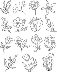 Super Mega Bundle: 100+ diverse hand-drawn vector botanical elements. This definitive collection features detailed wildflowers, abstract stems, leaves, and berries. Ideal for all creative projects.