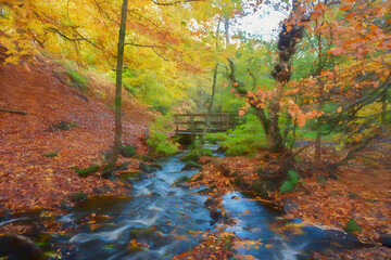 A digital illustration of vibrant mossy autumn foliage and flowing water at Wyming Brook in the Derbyshire, Peak District National Park.