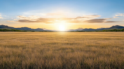 Obraz premium Golden grass field sunset serene horizon with distant mountains