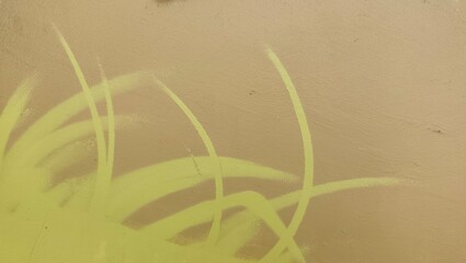 green grass background