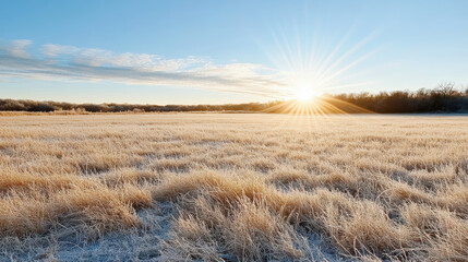 Frosty grass field sunrise winter meadow frosted prairie morning sun golden light