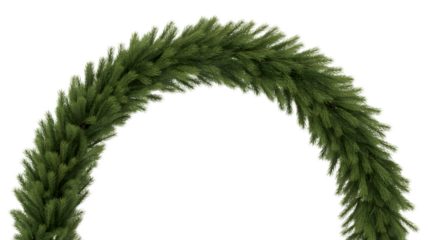 Burro s tail succulent arch isolated on transparent background