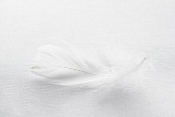 Closeup view of a soft feather on a white fabric