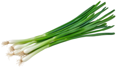 Fresh green onion bunch with long stalks roots raw spring scallions vegetable food isolated on white background