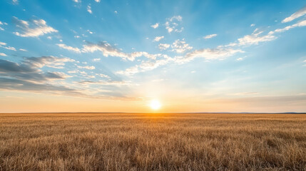 Golden grassland sunrise wide open field serene horizon glowing sky
