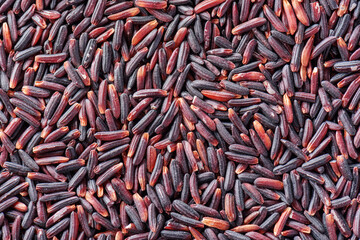 Cereal grains of black rice. Macro shot