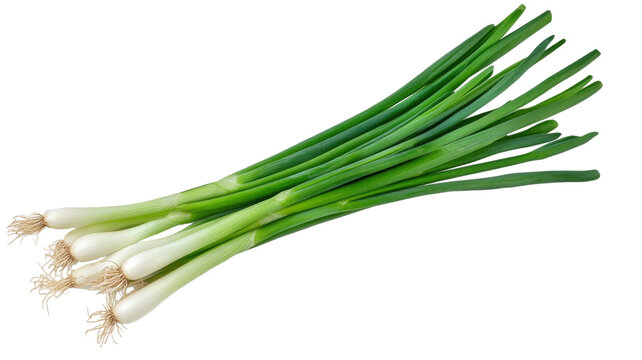 Fresh green onion bunch with long stalks roots raw spring scallions vegetable food isolated on white background