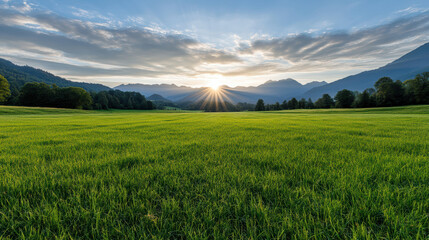 Fototapeta premium Sunrise mist valley peaceful meadow with golden sunburst over green field