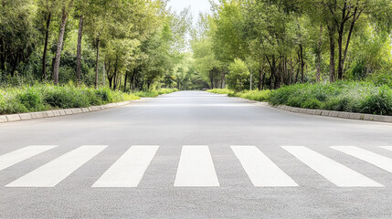Empty crosswalk on tree lined road with peaceful green avenue