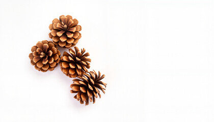 Fototapeta premium pine cones on white background