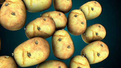 Potato food anatomy. 3d illustrations