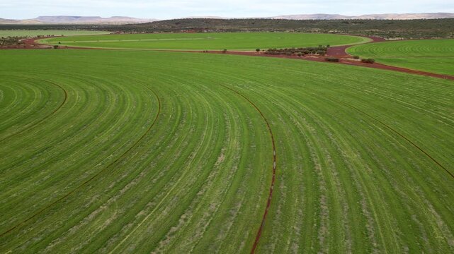Flying over circular fields in the Australian outback