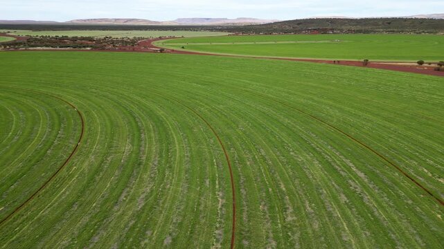 Flying over circular fields in the Australian outback