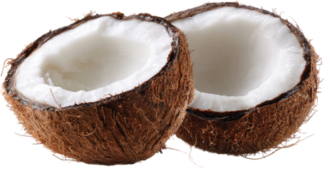 Two fresh coconut halves with white flesh and brown fibrous husk, ready for tropical drinks isolated on transparent background