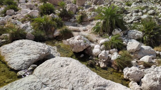 aerial view of stream flowing over light-colored rocks and boulders, surrounded by desert vegetation and small palm trees under a clear sky in Wadi Hadhbram, a natural oasis in Oman of Dhofar