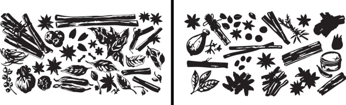 Botanical herbs illustration, spices drawing vector, organic herb design, natural ingredient artwork, medicinal plants sketch, herbal vector art, cooking herbs pattern, kitchen spice decor, aromatic g