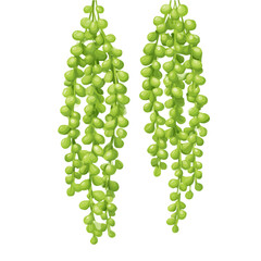 String Of Pearls, 2D flat vector illustration in icon style, isolated on a white background