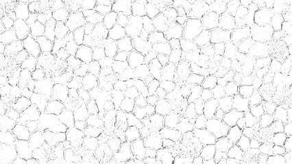 Irregular white cell pattern with fine black outlines for modern abstract backgrounds. Cracked white wall texture with subtle line details for minimalist design use. 