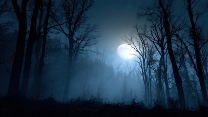 Fototapeta premium Spooky atmospheric backdrop with silhouettes of trees and soft moonlight