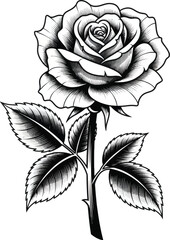 Detailed Rose Flower Vector Illustration