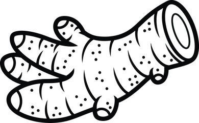 Ginger root illustration spice herb outline vector