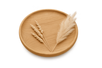Round wooden plate with two dried wheat stalks and fluffy pampas grass