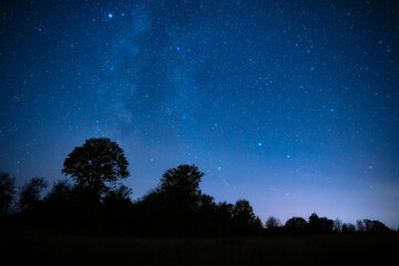 Milky Way stars with countryside tree and landscape silhouettes.