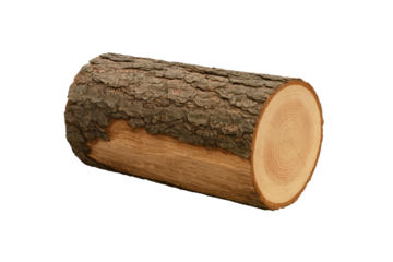 Cylindrical log segment with rough bark and smooth cut end
