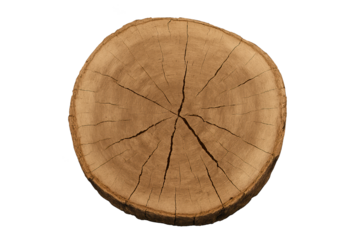 Circular wooden log slice with visible growth rings and bark edge