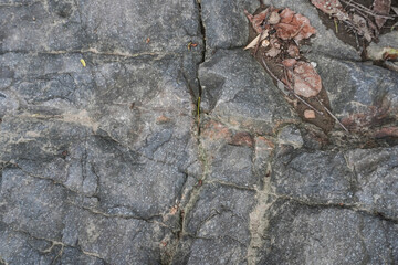 Texture of lava rock covered with moss and partially buried by soil, formed from ancient volcanic activity at the “Pillow Lava” geological site in Berbah, Sleman, Yogyakarta.