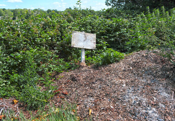 Rustic Blank Wooden Sign Post in a Large Compost Heap Surrounded by Wild Green Brambles and Foliage