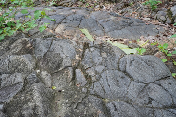 Texture of lava rock covered with moss and partially buried by soil, formed from ancient volcanic activity at the &ldquo;Pillow Lava&rdquo; geological site in Berbah, Sleman, Yogyakarta.