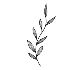 Elegant Hand Drawn Botanical Branch Vector. Minimalist Floral Leaf Line Art Illustration. Rustic Wedding and Feminine Design Element. Aesthetic Plant Doodle.