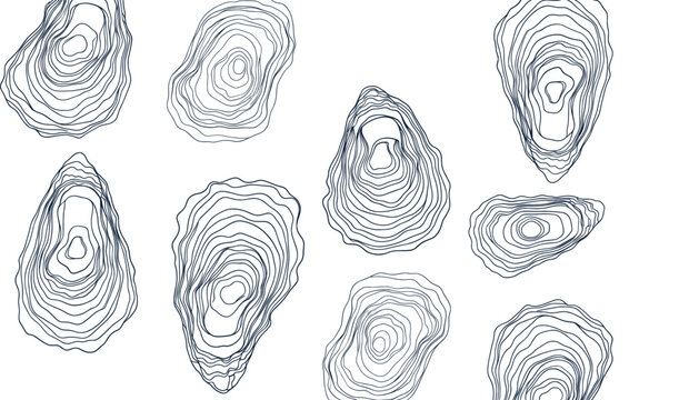 Seamless abstract oyster shell pattern in hand drawn contour line vector style for coastal decor and natural backgrounds