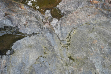 Texture of lava rock covered with moss and partially buried by soil, formed from ancient volcanic activity at the “Pillow Lava” geological site in Berbah, Sleman, Yogyakarta.