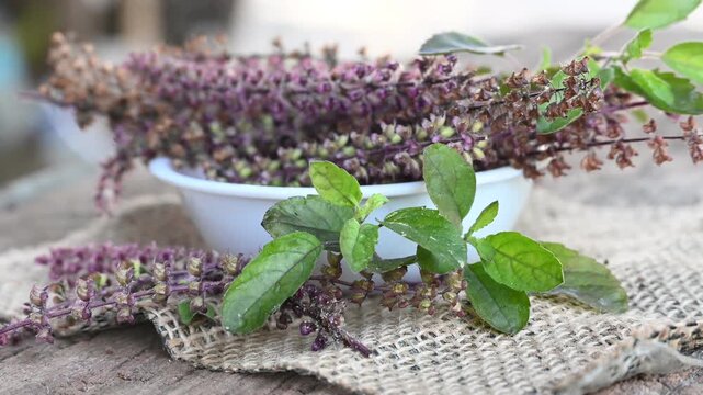 tulsi or holy basil leaf, Dried basil seed, flower on rustic wooden table. tulsi is used in ayurvedic medicine.