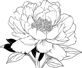 Fototapeta premium Black White Blossom Hope | Clean, isolated vector art for creative projects.