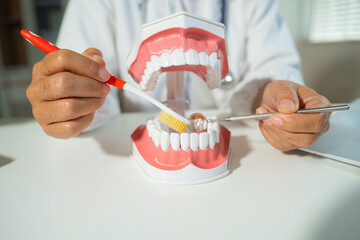Dentists writes reports of working with tooth models and analyzing dental treatments.