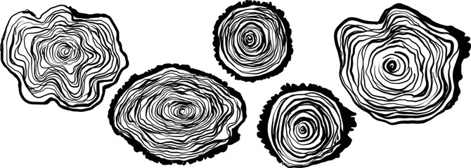 Minimal abstract tree-ring illustration in black, white, charcoal, perfect for Earth Day, Eco events, and nature-themed branding. Vector illustration
