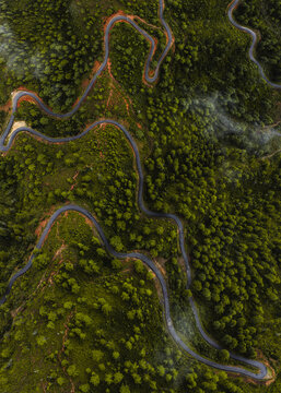 Aerial view of a sinuous road cuts through a dense forest, a ribbon of grey winding amidst a sea of green, Paro, Bhutan.
