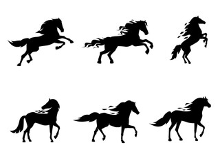 Horses in various dynamic poses against white background. Horses are depicted in different positions, showcasing movement, energy