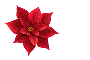 Vibrant red poinsettia flower with yellow center and lush petals isolated on transparent background