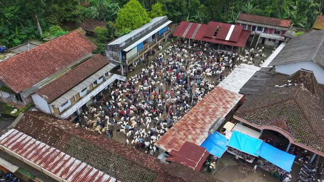 Aerial view of the bustling Kaligesing goat market with many goats and people amidst traditional buildings, Purworejo, Central Java, Indonesia.