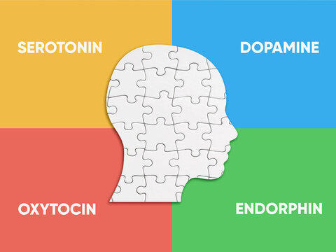 Brain hormones influencing mental health and happiness concept - Powered by Adobe