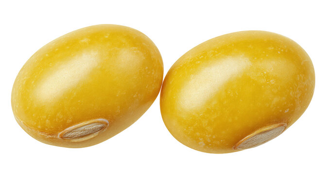 Two golden yellow beans with distinct hilum marks isolated on transparent background