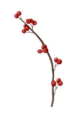 Long Red Berry Branch &mdash; Winter Botanical PNG