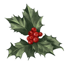 Holly Leaf Cluster with Red Berries &mdash; Christmas PNG Element