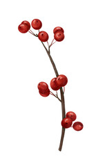 Red Berry Twig &mdash; Christmas Botanical PNG