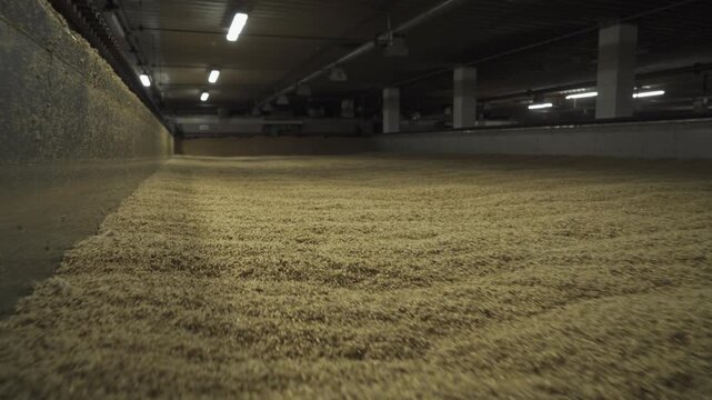 Mixing of malt. Manual filming