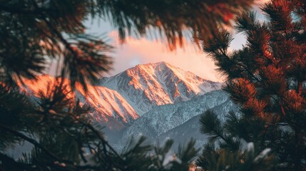 A view of a mountain range at sunset, the snow-covered peaks catching the orange light, framed by decorated pine branches,